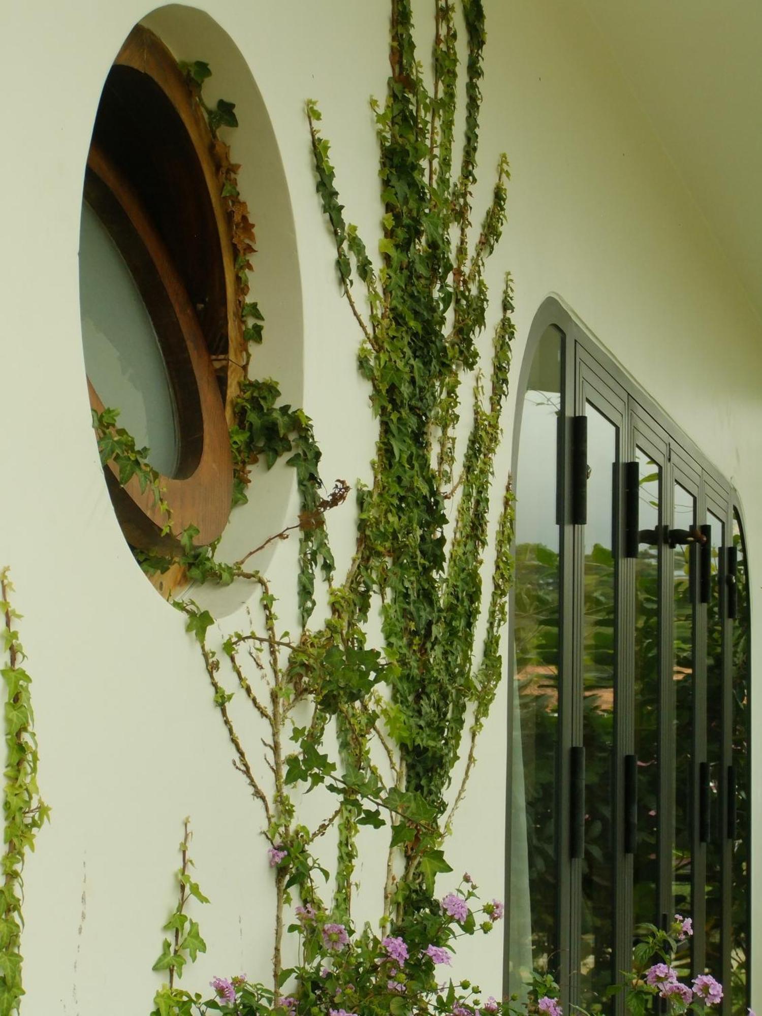 He Maison Boutique Stay & Cafe Da Lat Exterior photo